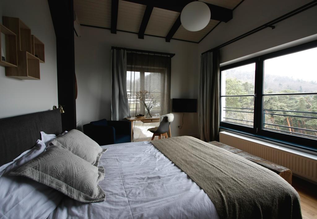 The Pines Boutique Villa Brasov Ngoại thất bức ảnh